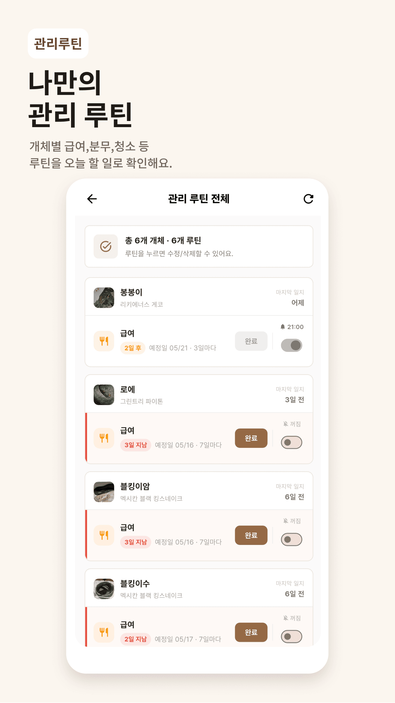 관리 루틴